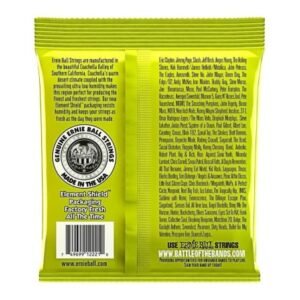 Ernie Ball 2221 Regular Slinky 010/046 - immagine 2