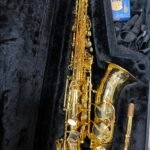 Borgani  Sax Contralto GOLD 24K  JUBILEE (USATO)