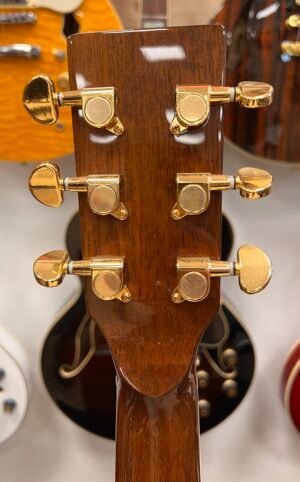 Harley Benton Custom Line CLR-ResoElectric (USATO) - immagine 6
