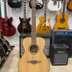 EKO Infinito 018 Eq – Acustica Elettrificata Made in Italy (USATO)