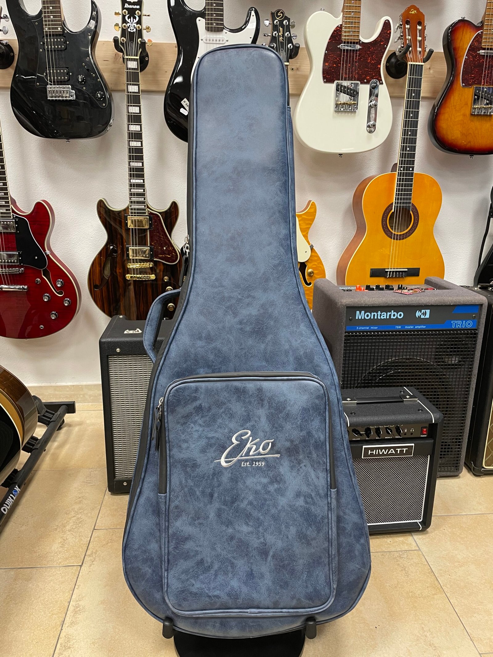 EKO Infinito 018 Eq - Acustica Elettrificata Made in Italy (USATO) - immagine 3